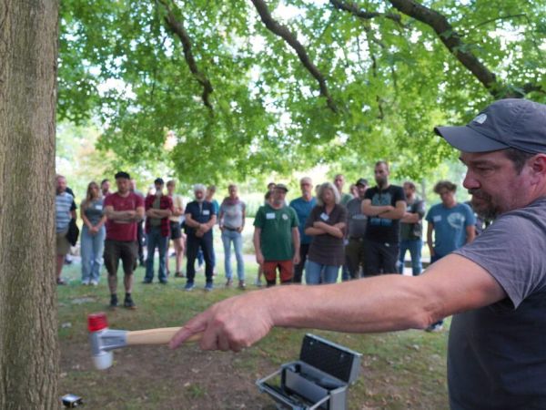 Baumschutz mit Unterpflanzung, Untersuchung und Rechtsschutz