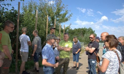 Fachverband geprüfter Baumpfleger im Austausch mit Baumexperten der Stadt Erfurt