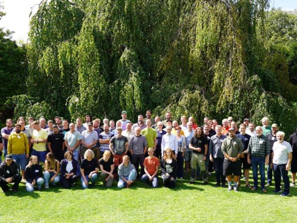 Baumschutz lohnt sich für Kommunen