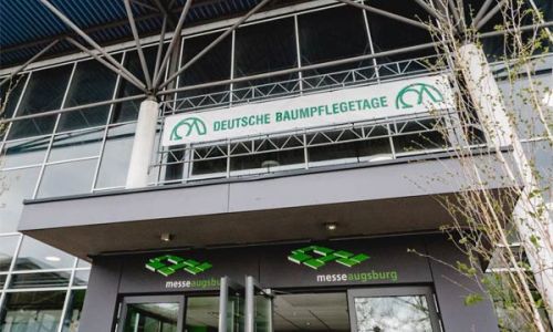 Baumschutz mit Unterpflanzung, Untersuchung und Rechtsschutz