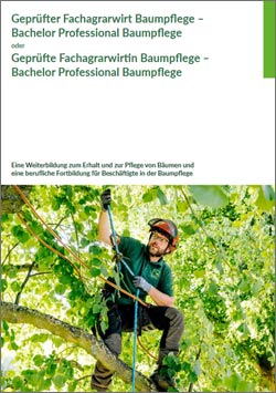Broschüre Rahmenstoffplan Geprüfter Fachagrarwirt Baumpflege - Bachelor Professional Baumpflege